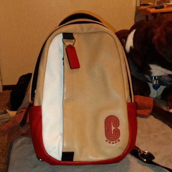 I'm selling a men's Coach crossover/sling body bag. Never used, without pricetag - Picture 4 of 5
